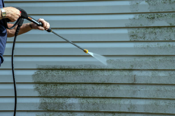 Best Gutter Cleaning  in Northwest Ithaca, NY